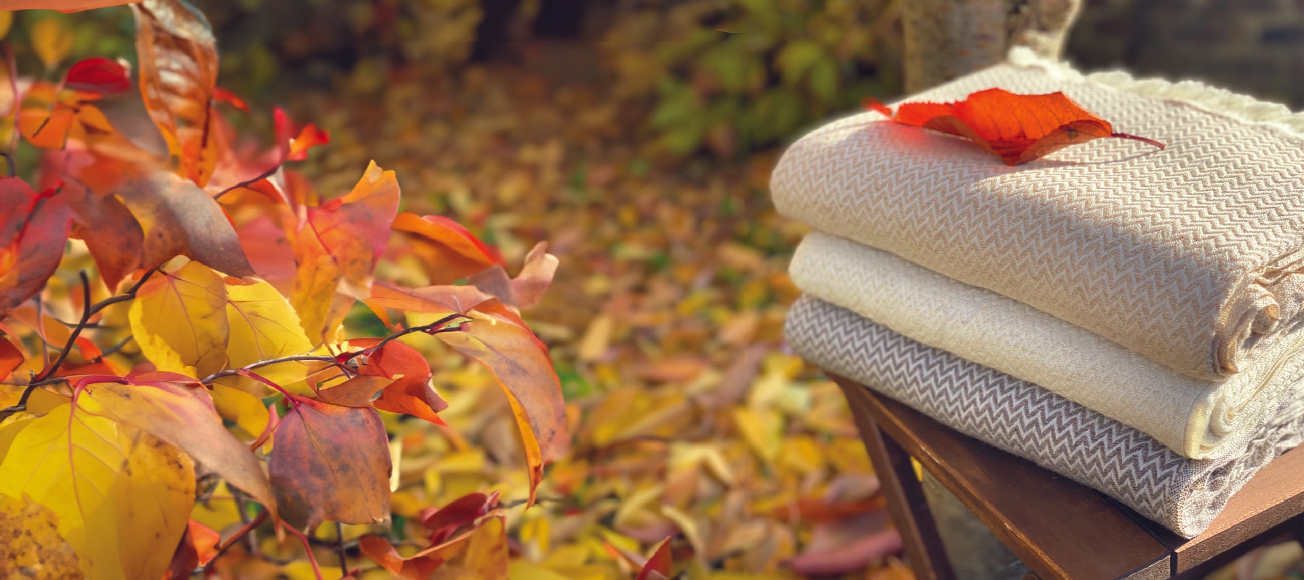 Süßes vom Herbst-Les Jardins de la Comtesse de
