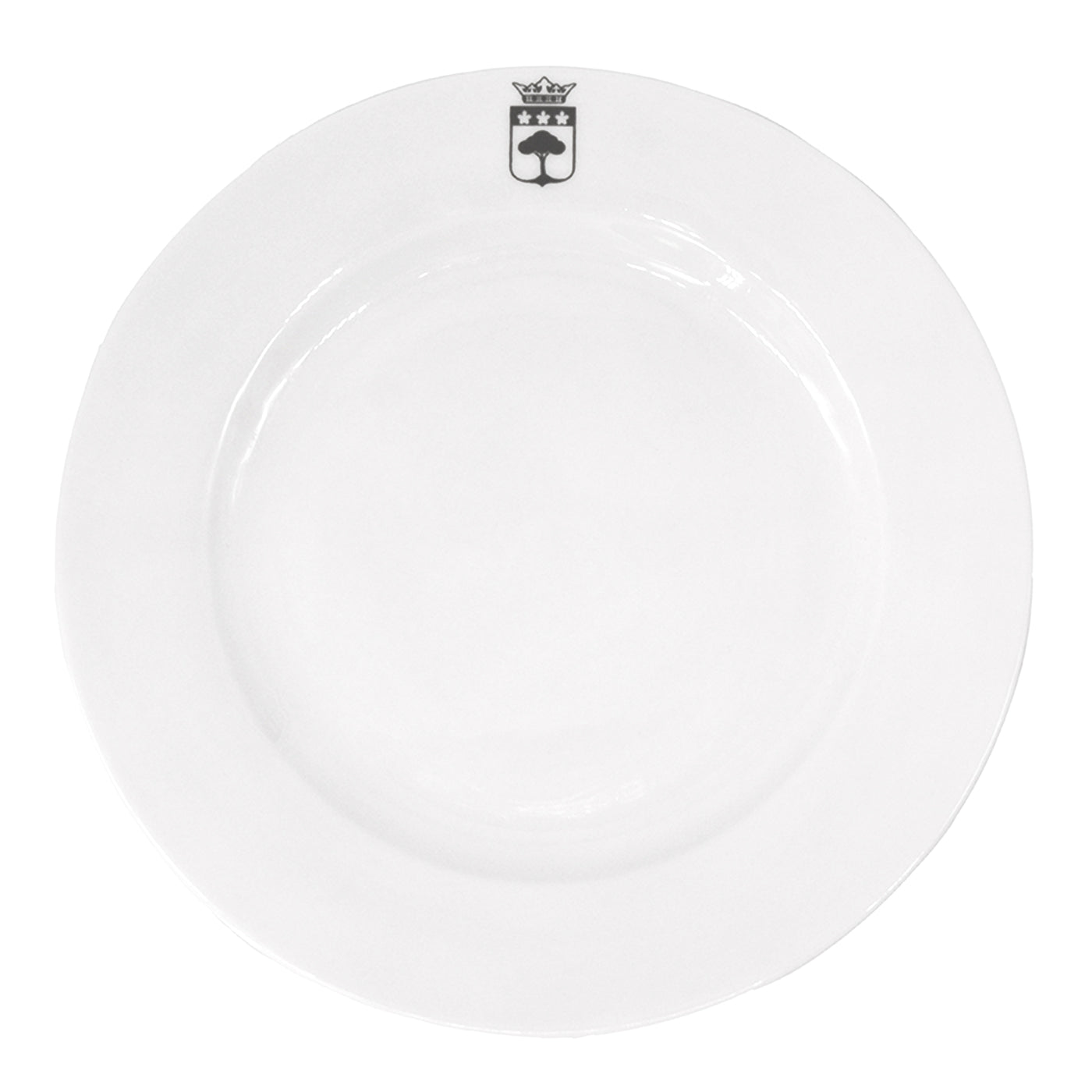 Porzellanteller (graues Logo) - 20,5 cm fein
