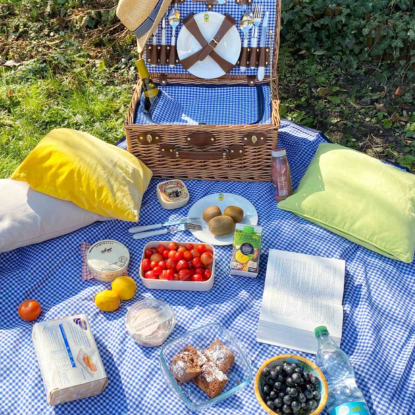 Picknickdecke mit blau Karomuster wasserundurchlässiger (140 x 140 cm)