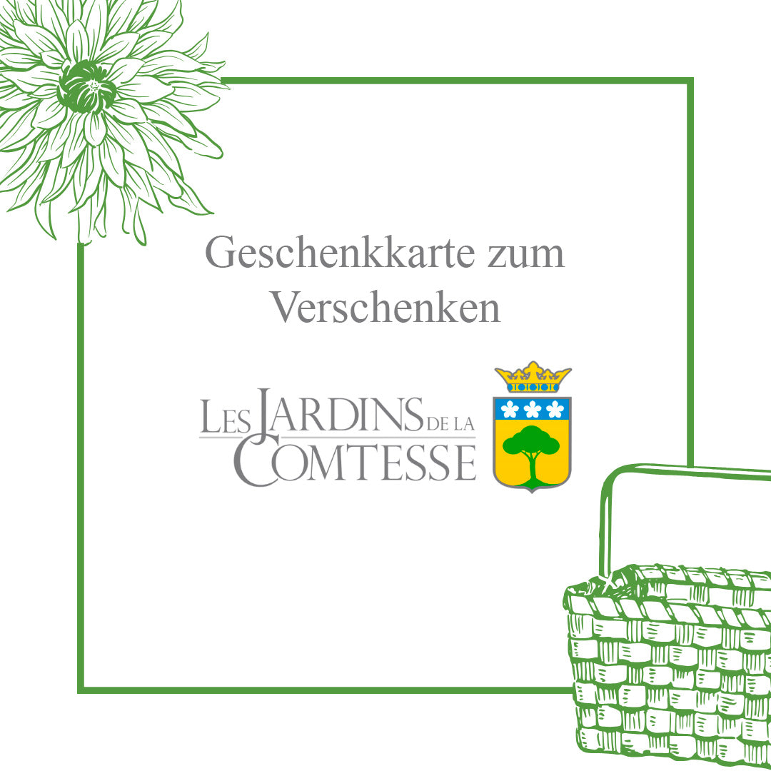 Geschenkkarte zum Verschenken